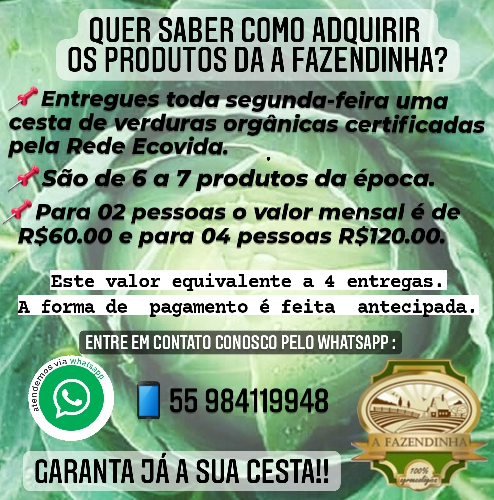 Imagem da experiência